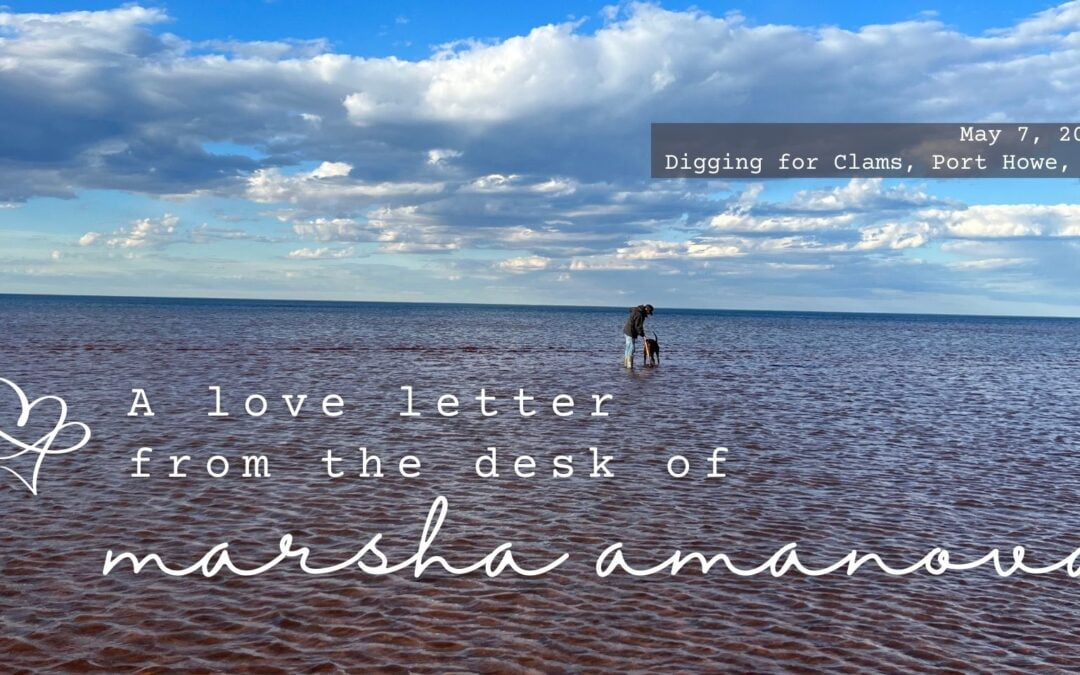Love Letter May 2023